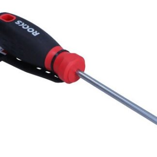 Rooks Torx schroevendraaier T30 100mm