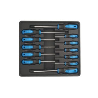 Torx Schroevendraaierset met verschillende maten